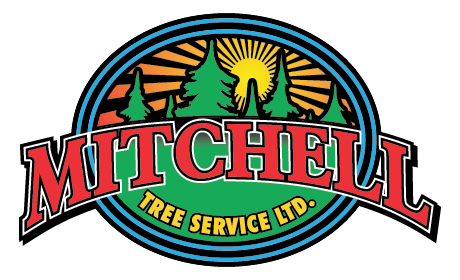 Mitchell Tree Service